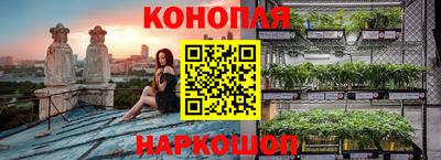 шишки Пенза