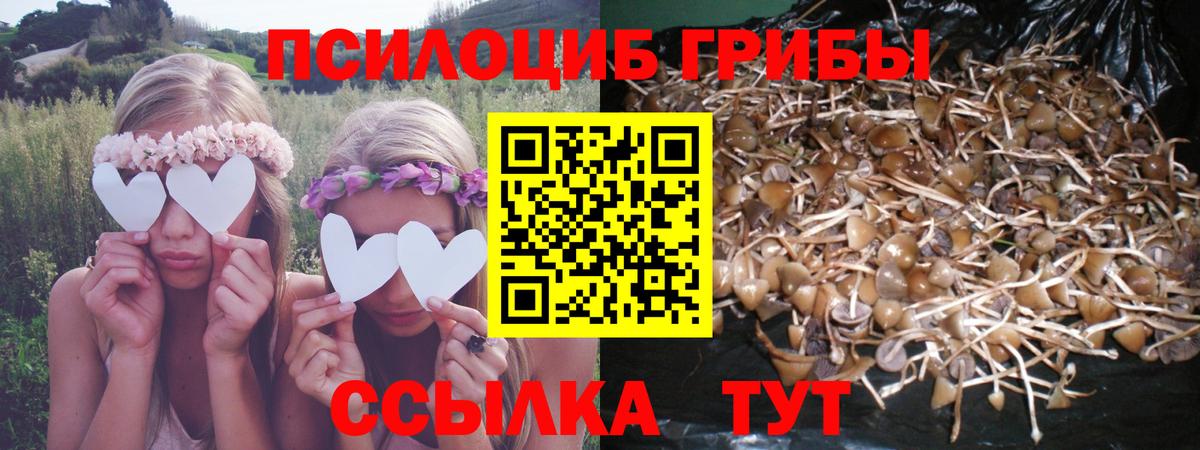 Галлюциногенные грибы мухоморы Сургут